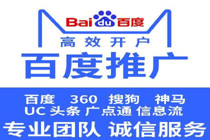 网络推广与竞价策略实战案例